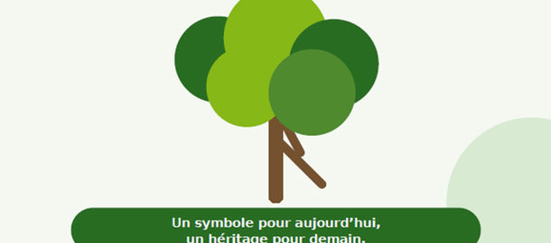Une naissance, un arbre